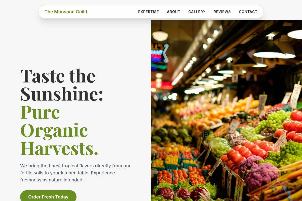 Nectar Organic Food