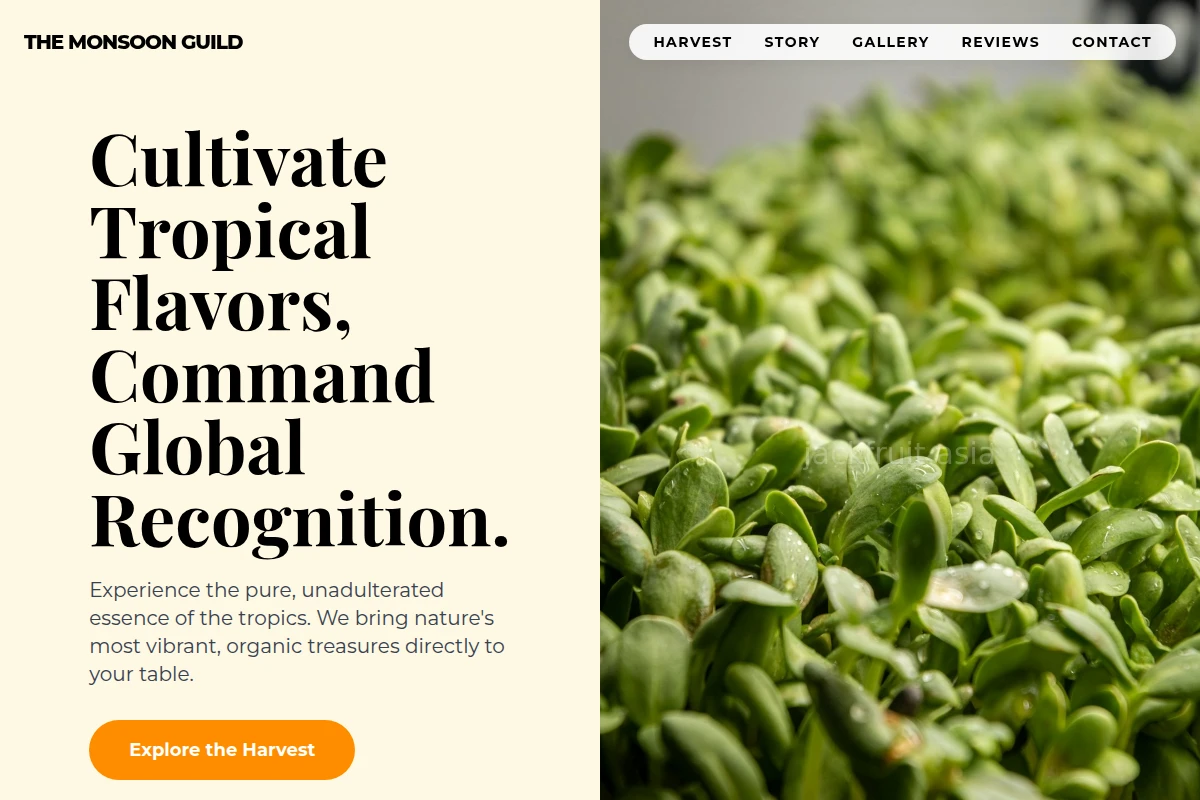 Lush Organic Food