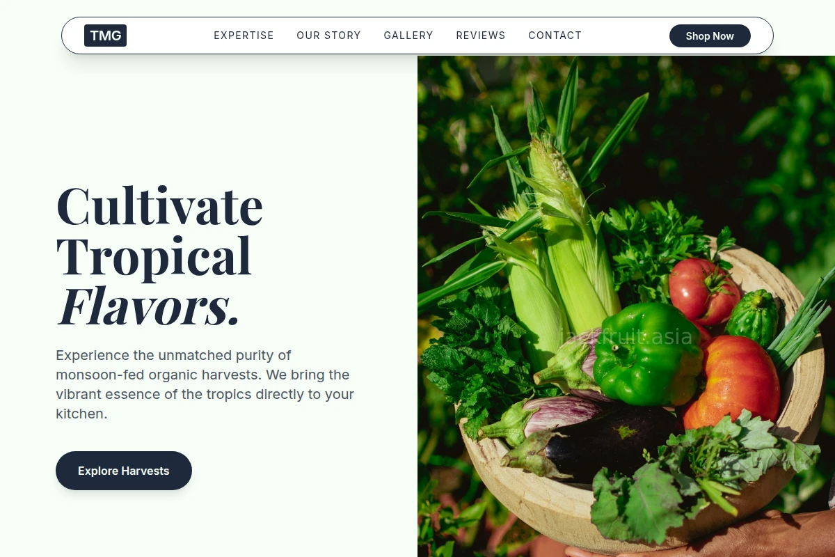 Verdant Organic Food